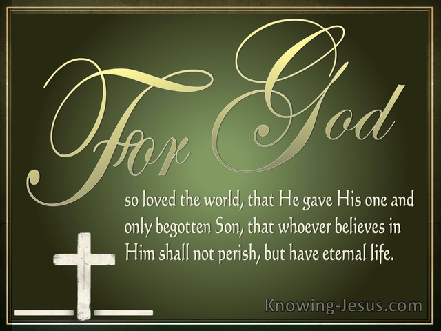 John 3:16 For God So Loved The World (sage)
